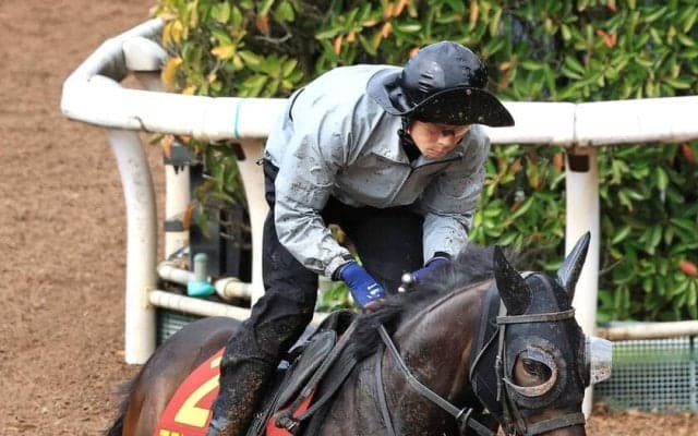 【Ｇ１・１週前まとめ】アランカール反撃へ機敏な脚さばき　コンビ継続の武豊「動き自体良かった」　桜花賞