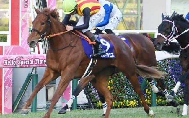 牝馬三冠第一弾・桜花賞など3重賞/今週の競馬界の見どころ