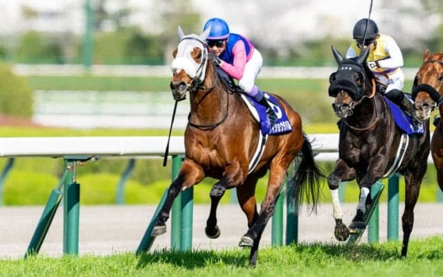 【大阪杯】武豊「悔いのないレースは出来た」レース後ジョッキーコメント