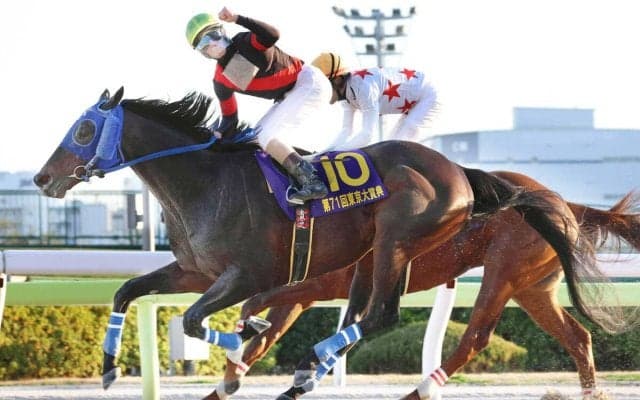 【川崎記念】東京大賞典に続くＪＲＡ勢撃破へ　ディクテオンは「状態が良すぎる」と荒山勝調教師は手応え十分