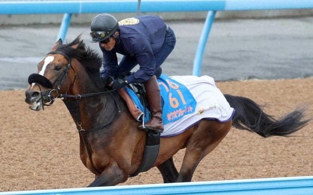【川崎記念】半兄は東京大賞典を４連覇　ホウオウルーレットは岩田康誠騎手が「すごく良い」と太鼓判