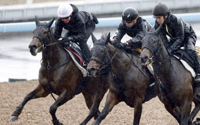 【桜花賞・角田の特注馬】近２走は不利が大きく度外視していい　大舞台で大駆けの気配漂うショウナンカリス