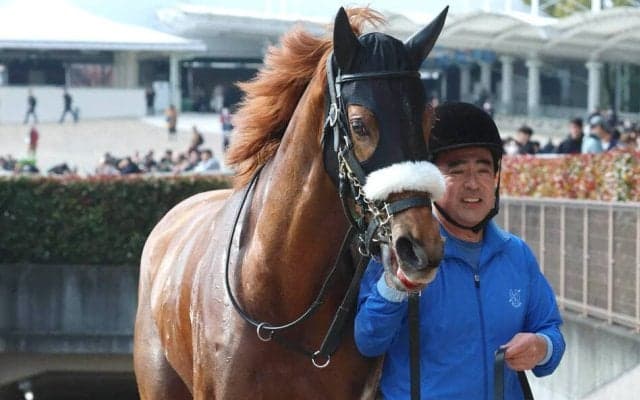 【忘れな草賞・坂本の特注馬】心肺機能の高さは一級品！　ダーリングハーストが距離を延ばして真価を発揮　