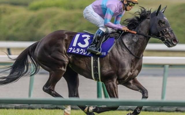 【先週のJRA抹消馬】短距離重賞5勝ナムラクレア、ダート牝馬路線で活躍したライオットガールなど