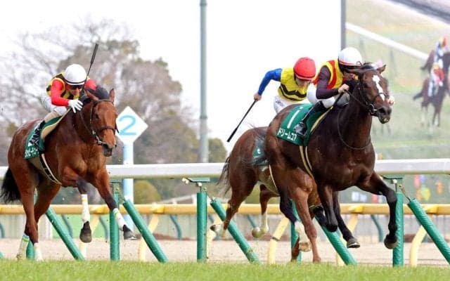 【桜花賞】クイーンＣから直行“必勝ローテ”で臨むドリームコアは充実一途　母ノームコアとの母娘Ｇ１制覇目指せる出来