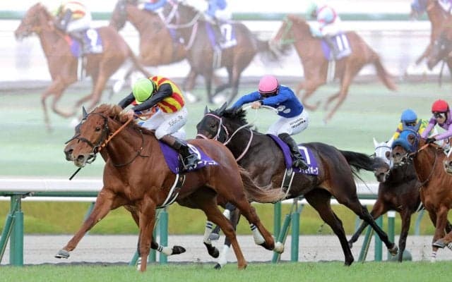 【桜花賞】もはや“黄金ローテ”　スターアニスに死角なし！　馬体の成長にも「アスリートの部類ですね」と高野調教師は手応え十分