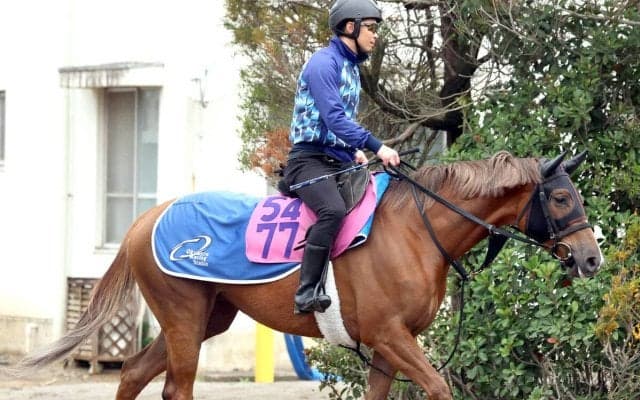 【ニュージーランドＴ】ヒズマスターピースは奥村武厩舎で再出発　前走までは異例の転身をする国枝元調教師が管理