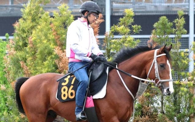 【ニュージーランドＴ】３歳マイル路線の新星ロデオドライブ　イミグラントソングに続く辻厩舎連覇へ