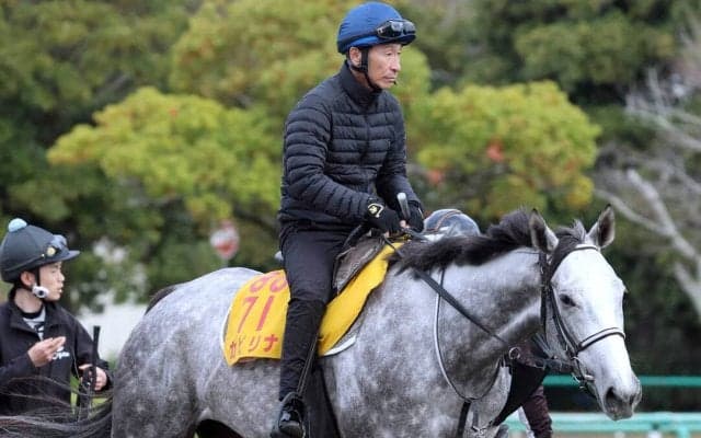 【阪神牝馬Ｓ】１週前に美浦・Ｗコースで横山典弘騎手を背に猛時計マーク　カピリナに田島調教師「体調がいいということ」