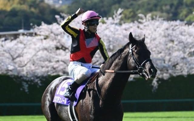 クロワデュノールは成長力を感じさせる血統 今後のさらなる充実に期待大