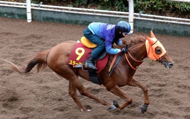 【桜花賞】ソダシ＆リバティアイランドと同じ阪神ＪＦ勝利から直行　スターアニス桜の冠へ死角なし
