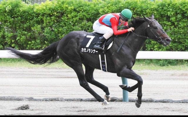 【川崎記念】「得意の左回りに戻る」カゼノランナーは重賞初制覇の勢いでＪｐｎ１初挑戦Ⅴを狙う
