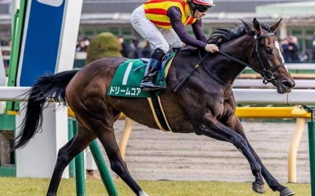 【桜花賞】名牝ノームコアの2番仔 ドリームコアが母娘GI制覇狙う