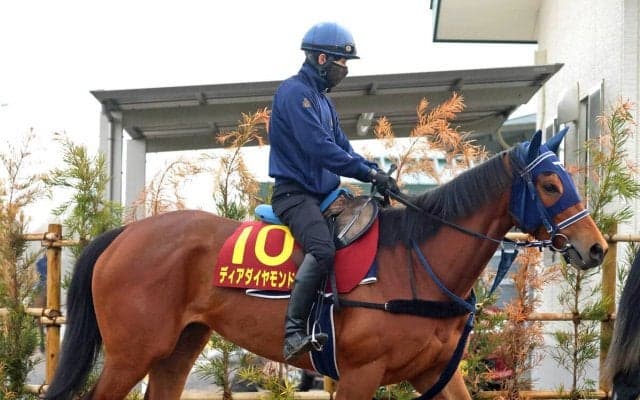【桜花賞】アネモネＳで３馬身差完勝のディアダイヤモンドは体調良好　中３週での出走にも手塚久調教師「いい雰囲気」