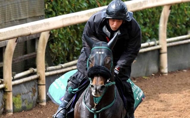 【注目馬動向】大阪杯５着のセイウンハーデスは安田記念へ　鞍上は引き続き幸英明騎手