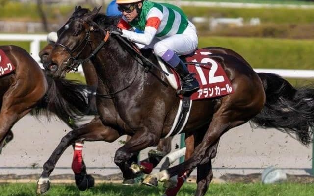 【桜花賞】母はオークス馬のシンハライト アランカールが母娘クラシック制覇なるか