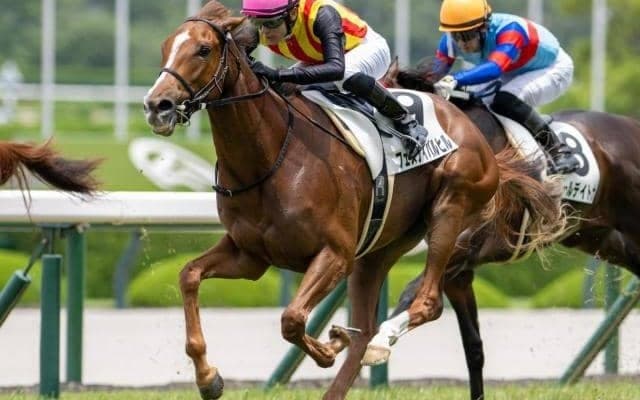 【桜花賞】坂井瑠星騎手がクラシック初制覇なるか ファンタジーS覇者のフェスティバルヒルで参戦