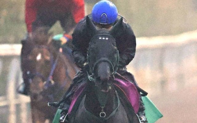 【忘れな草賞】クイーンＣ１５着のニシノサリーナが積極策で巻き返す　橋口調教師「今回は逃げてもらうと思います」