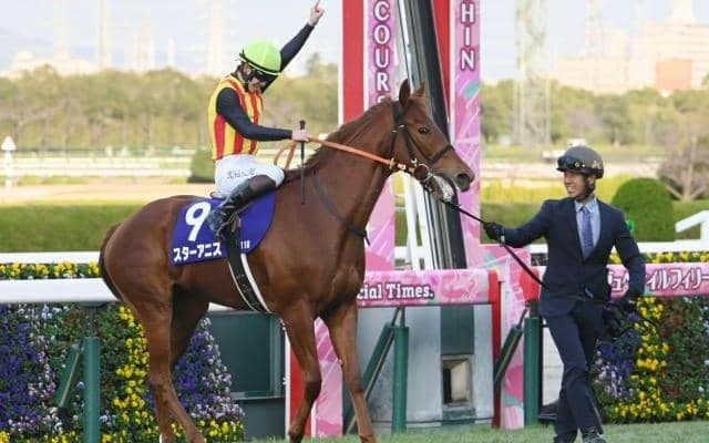 スターアニスは“香辛料”のこと!? 桜花賞登録19頭の馬名意味を紹介