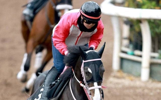 【ニュージーランドＴ】マイルで連対率１００％のレザベーション　松下調教師「今回もスタートを決めてほしい」