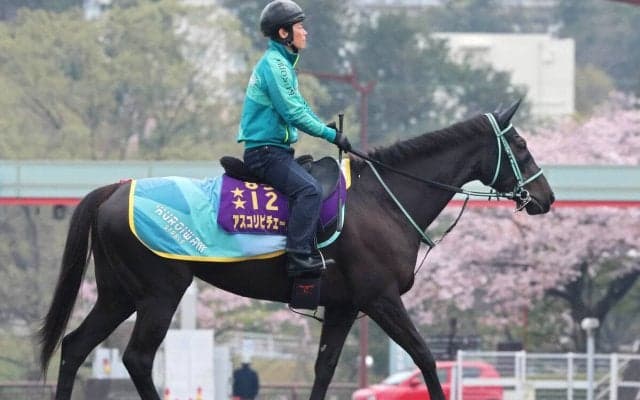 「フレッシュでいい印象」＆「ここは通過点にしてほしい」と話す有力馬２頭出し　黒岩調教師が土曜重賞ダブル制覇狙う　　　