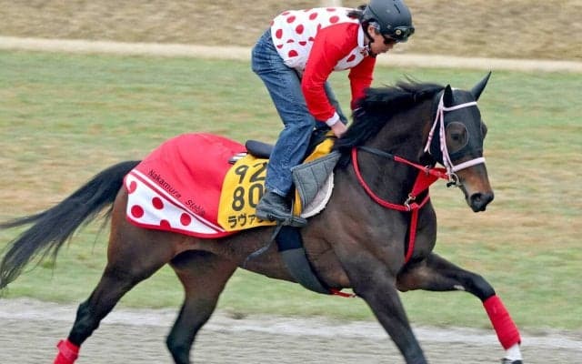 【阪神牝馬Ｓ】１週前はラスト１０秒７！東京新聞杯２着ラヴァンダ上昇中　中村調教師「楽しみになる走りを見てみたい」
