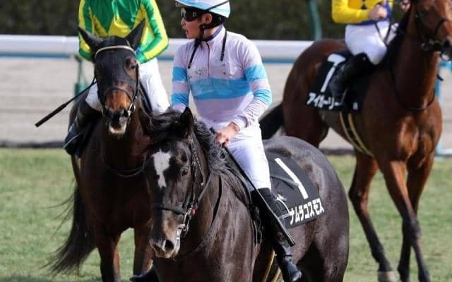 【桜花賞】田口貫太騎手がGI初制覇なるか チューリップ賞2着のナムラコスモスで参戦