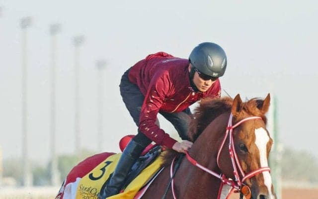 【注目馬動向】シンエンペラーは香港Ｇ１を辞退し米国遠征へ　矢作調教師「左回りだし、相手関係も考えました」