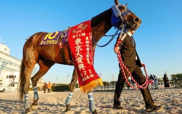 【川崎記念注目馬】1着賞金1億円の大一番 地方年度代表馬ディクテオンなど好メンバー集結