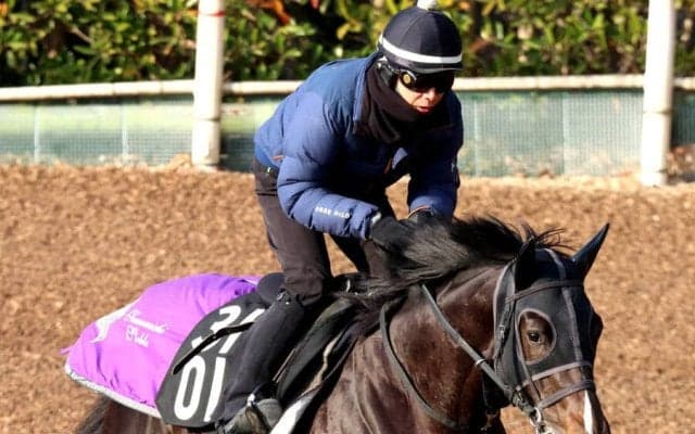 【注目馬動向】５・９億円馬エムズビギンは川田将雅騎手とのコンビ継続で京都新聞杯へ　友道調教師「距離は問題ない」