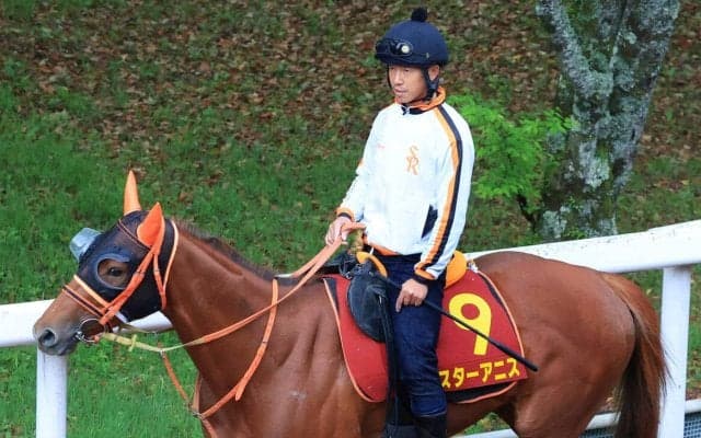 【桜花賞】スターアニスが坂路で圧巻の動き　高野調教師「エネルギーがパンパンの状態で桜花賞へ」 　