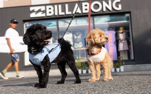 BILLABONGから日本発となるドッグウェアがリリース！ 4月25日（土）七里ヶ浜のPacific DRIVE-INでローンチイベントを開催