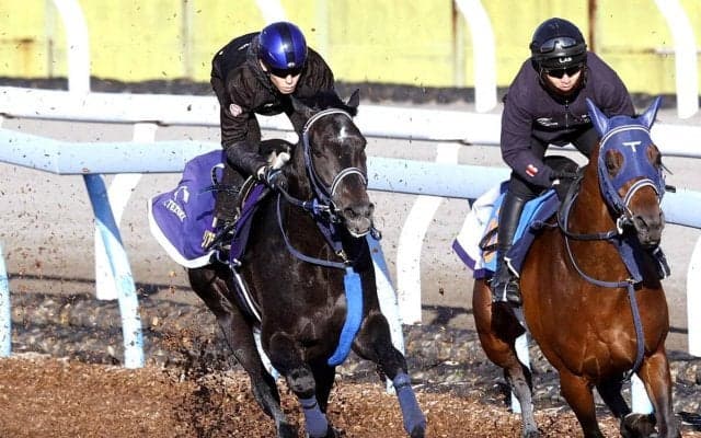 【皐月賞・１週前】リアライズシリウスは豪快な動きでラスト１１秒０　手塚久調教師「単純に能力がある」