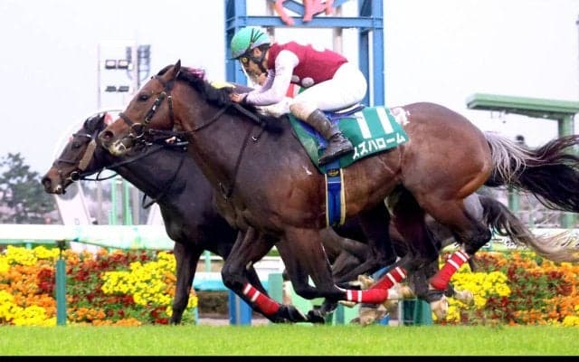 【注目馬動向】スズハロームは引き続き藤懸貴志騎手と安田記念へ　ドロップオブライトはヴィクトリアＭに参戦