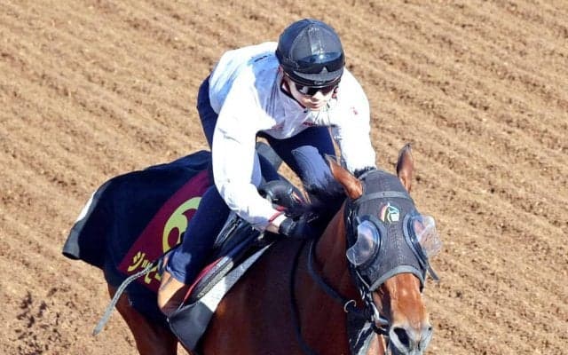 【桜花賞】クイーンＣ２着のジッピーチューンは坂路を機敏な動きで状態良好　初経験の輸送をクリアできれば