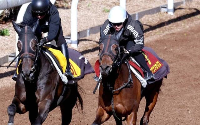 【桜花賞】前走は不完全燃焼のショウナンカリスが好時計マーク　加藤士調教師「調子はいいと思います」