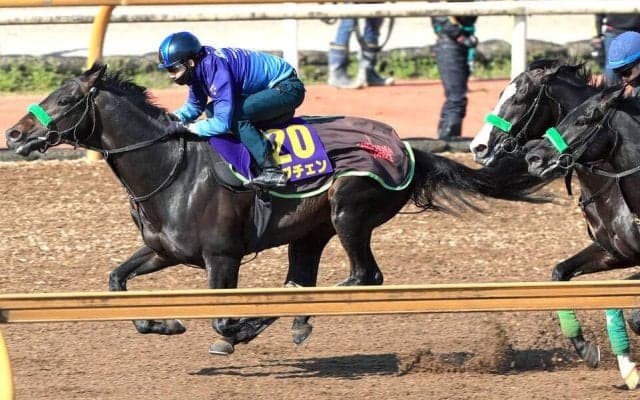 【皐月賞・１週前】Ｇ１馬ロブチェンが３頭併せで最先着　杉山晴調教師「やっぱりポテンシャルが高い」