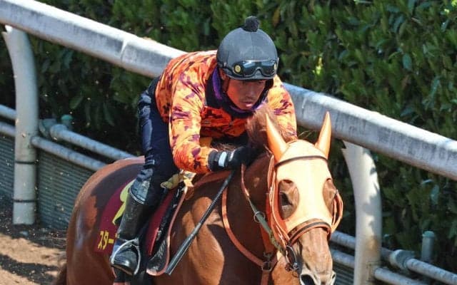 【桜花賞】２歳女王は直行ローテにも不安は一切なし　高野調教師「スターアニスには勝負のレースです」