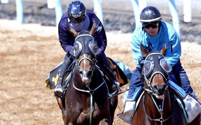 【ニュージーランドＴ】デビュー２連勝のゴーラッキーが重賞勝ち馬に先着　黒岩調教師「状態面に不安はないです」