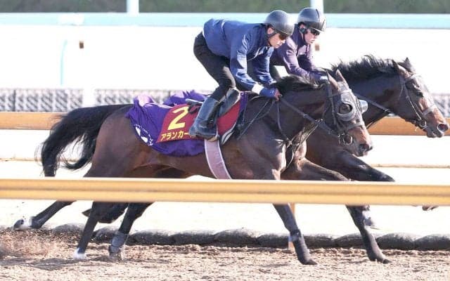 【桜花賞】アランカールは鋭く併入　鞍上の武豊騎手は勝てば２２年ぶり＆最多更新６勝目　「久しぶりに桜花賞を勝ちたい」