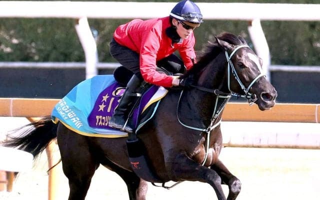 【阪神牝馬Ｓ】坂井瑠星騎手がアスコリピチェーノと初コンタクト　シャープな伸びに「最後の反応もよかったです」