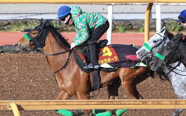 【桜花賞】ギャラボーグが持ったままで１ハロン１１秒２　杉山晴調教師「現状は右回りの方がいい」 　