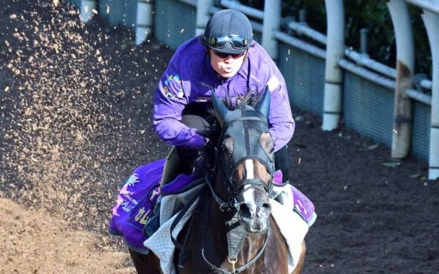 【阪神牝馬Ｓ】カムニャックは落ち着き十分で充電効果大　友道調教師「いい感じで臨めると思います」