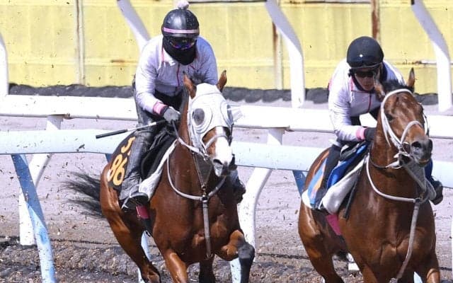 【ニュージーランドＴ】５馬身追走から半馬身先着　ロデオドライブは無傷３連勝へ順調　辻調教師「走れる状態にある」