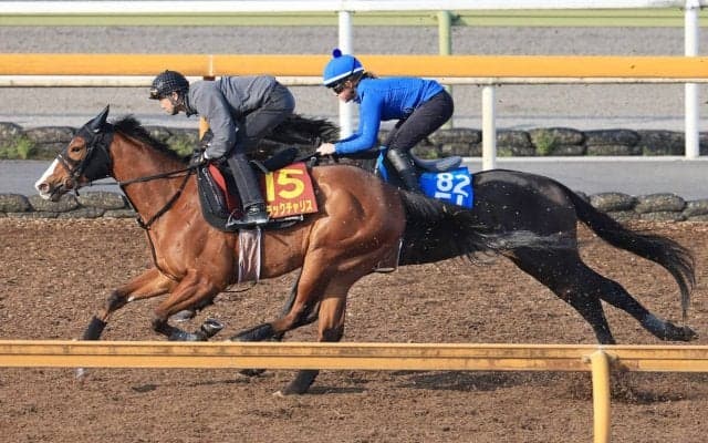 【Ｇ１トク捜リレー】栗東・水納記者は武幸厩舎のブラックチャリスが気になる様子　馬なりで動きパワフル　桜花賞