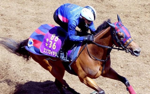 【阪神牝馬Ｓ】エンブロイダリーはパワフルな走りで５２秒１の好時計　森一調教師「心身ともに完成されてきました」