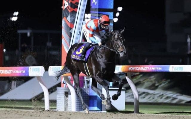 【川崎記念】カゼノランナーが交流G1初制覇…アウトレンジは3着