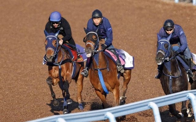 【桜花賞】ディアダイヤモンドとコンビの戸崎圭太騎手が初コンタクト「すごい乗りやすい」３歳牝馬離れしたメンタル