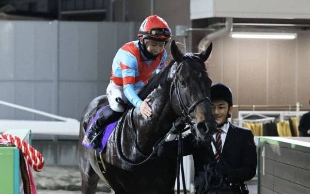 【川崎記念】西村淳「能力を信じていました」JRAカゼノランナーが交流G1初制覇