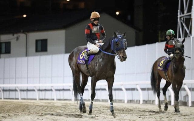 【川崎記念】地方年度代表馬・ディクテオンは5着まで…矢野「馬場乾いていた方がいい」